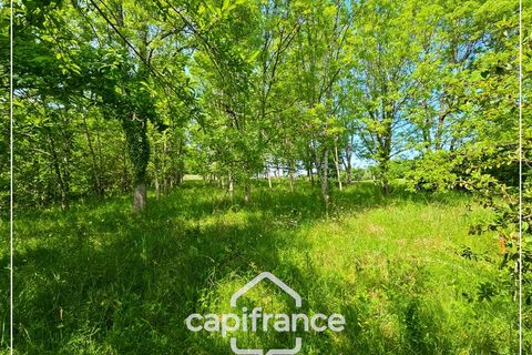 Villa i Castelculier, Lot-et-Garonne, Castelculier - € 157.000 | Ref: 340932033340 - foto 8
