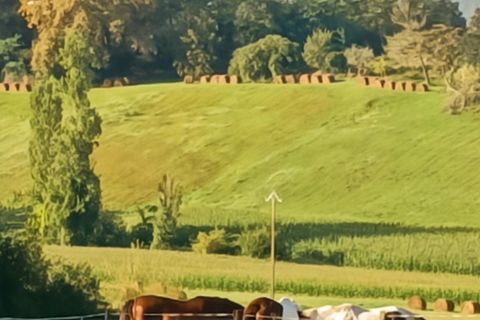 Villa i Bernède, Gers, Bernède - € 120.000 | Ref: 340938863217 - foto 33