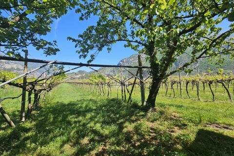 Terra a Arco, Trento, Arco - € 103.000 | Ref: 1771-1 - foto 3
