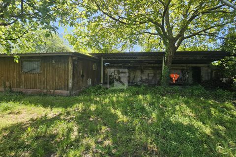 Terra a Arco, Trento, Arco - € 103.000 | Ref: 1771-1 - foto 4