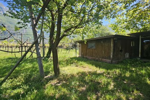 Terra a Arco, Trento, Arco - € 103.000 | Ref: 1771-1 - foto 5