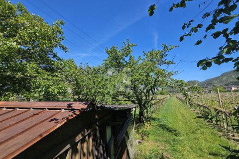 Terra a Arco, Trento, Arco - € 103.000 | Ref: 1771-1 - foto 8