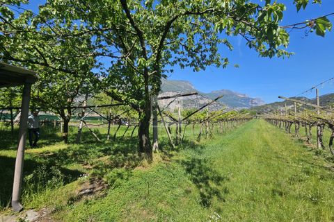 Terra a Arco, Trento, Arco - € 103.000 | Ref: 1771-1 - foto 9