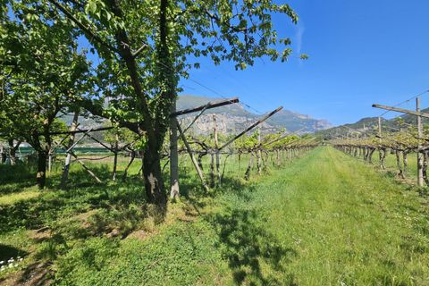 Terra a Arco, Trento, Arco - € 103.000 | Ref: 1771-1 - foto 10