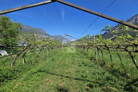Terra a Arco, Trento, Arco - € 103.000 | Ref: 1771-1 - foto 11