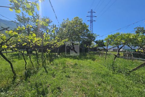 Terra a Arco, Trento, Arco - € 103.000 | Ref: 1771-1 - foto 13