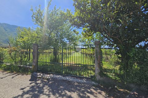 Terra a Arco, Trento, Arco - € 103.000 | Ref: 1771-1 - foto 14