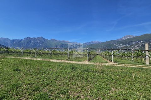 Terra a Arco, Trento, Arco - € 150.000 | Ref: 1771-2 - foto 3