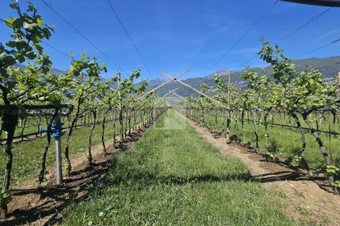 Terra a Arco, Trento, Arco - € 150.000 | Ref: 1771-2 - foto 5