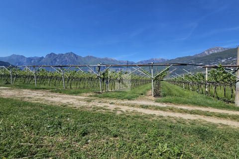 Terra a Arco, Trento, Arco - € 150.000 | Ref: 1771-2 - foto 6