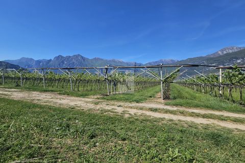 Terra a Arco, Trento, Arco - € 150.000 | Ref: 1771-2 - foto 9