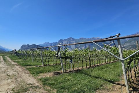 Terra a Arco, Trento, Arco - € 150.000 | Ref: 1771-2 - foto 11