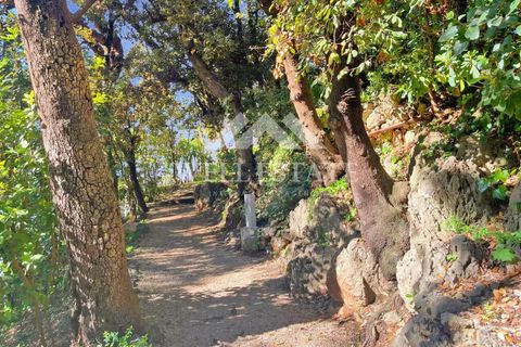 Lejlighed i Antibes, Alpes-Maritimes, Antibes - € 795.000 | Ref: 86923563 - foto 13