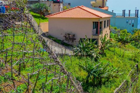 Villa i Camara de Lobos, Madeira, Camara de Lobos - € 395.000 | Ref: Q2668 - foto 2