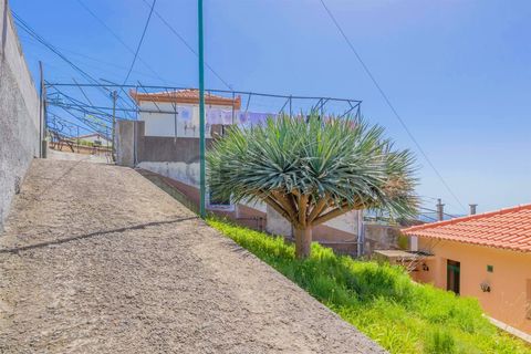 Villa i Camara de Lobos, Madeira, Camara de Lobos - € 395.000 | Ref: Q2668 - foto 21