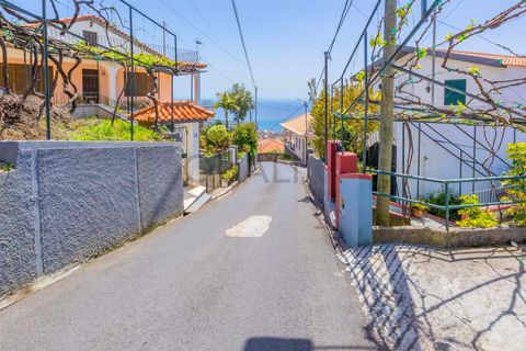 Villa i Camara de Lobos, Madeira, Camara de Lobos - € 395.000 | Ref: Q2668 - foto 25