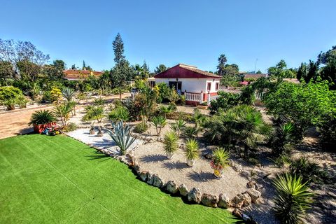Villa a Alberic, Valencia, Alberic - € 335.000 | Ref: VLC9383 - foto 27