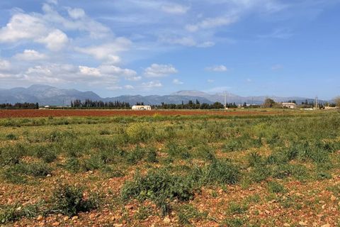 Tomt i Llubi, Mallorca, Llubi - € 1 200 000 | Ref: XC0202 - foto 4