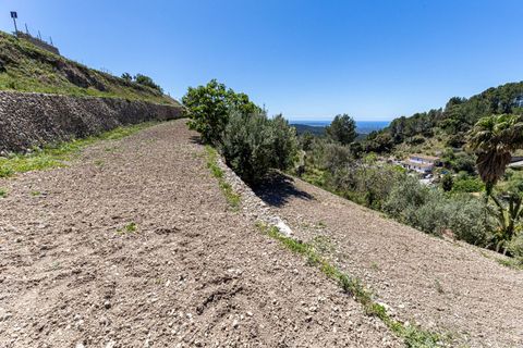 Terra a Galilea, La Rioja, Galilea - € 370.000 | Ref: SPCRM5000 - foto 8