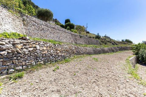 Terra a Galilea, La Rioja, Galilea - € 370.000 | Ref: SPCRM5000 - foto 9