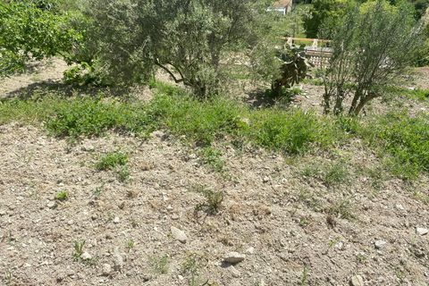 Terra a Galilea, La Rioja, Galilea - € 370.000 | Ref: SPCRM5000 - foto 19