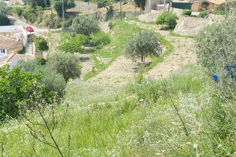 Terra a Galilea, La Rioja, Galilea - € 370.000 | Ref: SPCRM5000 - foto 23