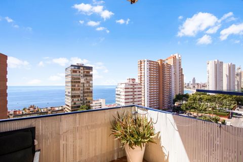 Lejlighed i Benidorm, Alicante, Benidorm - € 349.000 | Ref: MNN22888 - foto 7