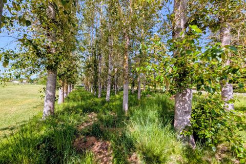 Villa i Dausse, Lot-et-Garonne, Dausse - € 195.000 | Ref: BVI85418 - foto 15