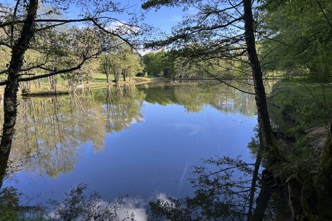 Helårsgrund i Châtelus-Malvaleix, Creuse, Châtelus-Malvaleix - € 81.000 | Ref: BVI85181 - foto 7