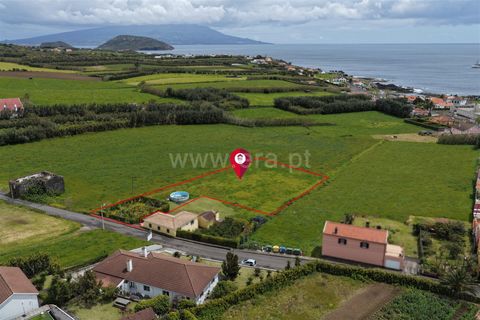 Terra a Horta, Faial, Horta - € 59.000 | Ref: 374260063 - foto 7