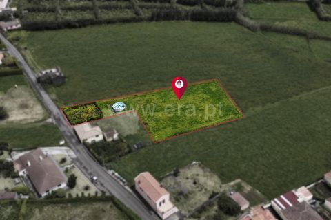 Terra a Horta, Faial, Horta - € 59.000 | Ref: 374260063 - foto 10
