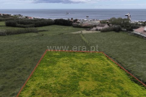 Terra a Horta, Faial, Horta - € 59.000 | Ref: 374260063 - foto 13