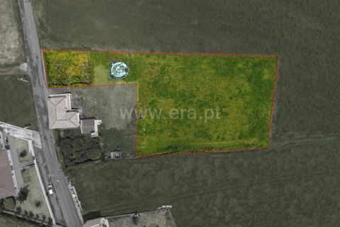 Terra a Horta, Faial, Horta - € 59.000 | Ref: 374260063 - foto 3