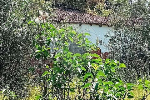 Farm hus i Coruche, Santarem, Coruche - € 109.000 | Ref: 120611246-368 - foto 4