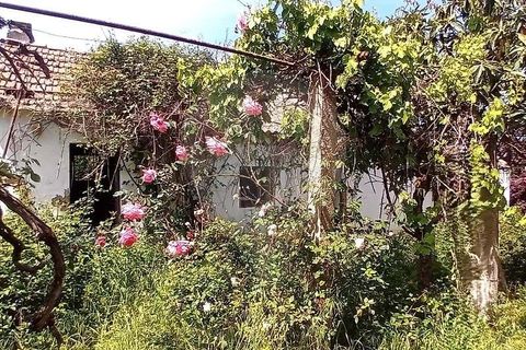 Farm hus i Coruche, Santarem, Coruche - € 109.000 | Ref: 120611246-368 - foto 5