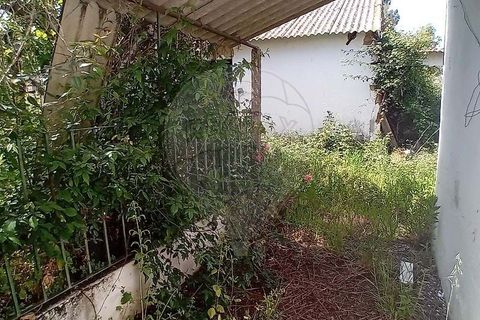 Farm hus i Coruche, Santarem, Coruche - € 109.000 | Ref: 120611246-368 - foto 13