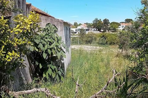 Farm hus i Coruche, Santarem, Coruche - € 109.000 | Ref: 120611246-368 - foto 15