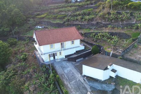 Byhus i Lajes do Pico, Pico, Lajes do Pico - € 450.000 | Ref: 859900 - foto 21