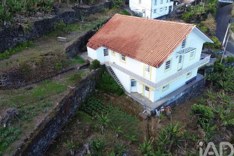Byhus i Lajes do Pico, Pico, Lajes do Pico - € 450.000 | Ref: 859900 - foto 23