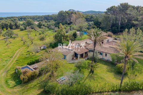 Villa a Cala Ratjada, Mallorca, Cala Ratjada - € 3.500.000 | Ref: 2390 - foto 46