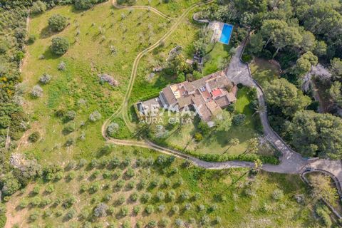 Villa a Cala Ratjada, Mallorca, Cala Ratjada - € 3.500.000 | Ref: 2390 - foto 43