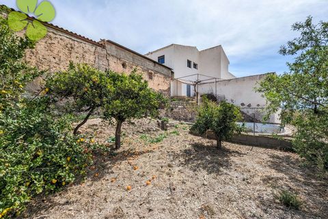 Landsbyhus i Albox, Almeria, Albox - € 198.000 | Ref: CRE-2701 - foto 28