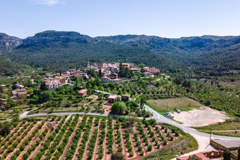 Villa i Capafonts, Tarragona, Capafonts - € 217.000 | Ref: EXP14139/8930 - foto 46