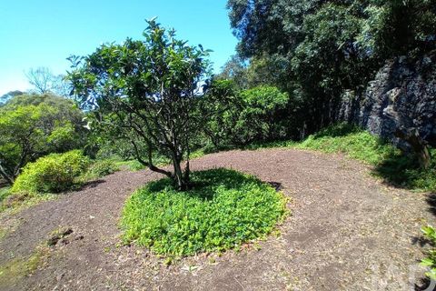 Helårsgrund i Lagoa, Sao Miguel, Lagoa - € 465.000 | Ref: 878514 - foto 2
