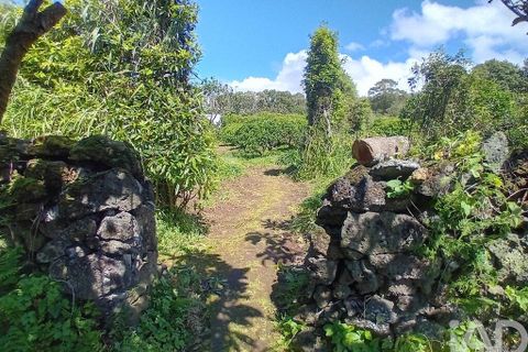 Helårsgrund i Lagoa, Sao Miguel, Lagoa - € 465.000 | Ref: 878514 - foto 3