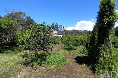 Helårsgrund i Lagoa, Sao Miguel, Lagoa - € 465.000 | Ref: 878514 - foto 4
