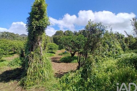 Helårsgrund i Lagoa, Sao Miguel, Lagoa - € 465.000 | Ref: 878514 - foto 5