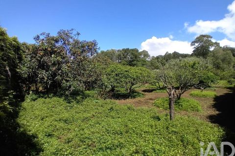 Helårsgrund i Lagoa, Sao Miguel, Lagoa - € 465.000 | Ref: 878514 - foto 6