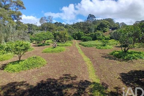Helårsgrund i Lagoa, Sao Miguel, Lagoa - € 465.000 | Ref: 878514 - foto 7