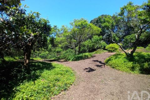 Helårsgrund i Lagoa, Sao Miguel, Lagoa - € 465.000 | Ref: 878514 - foto 8